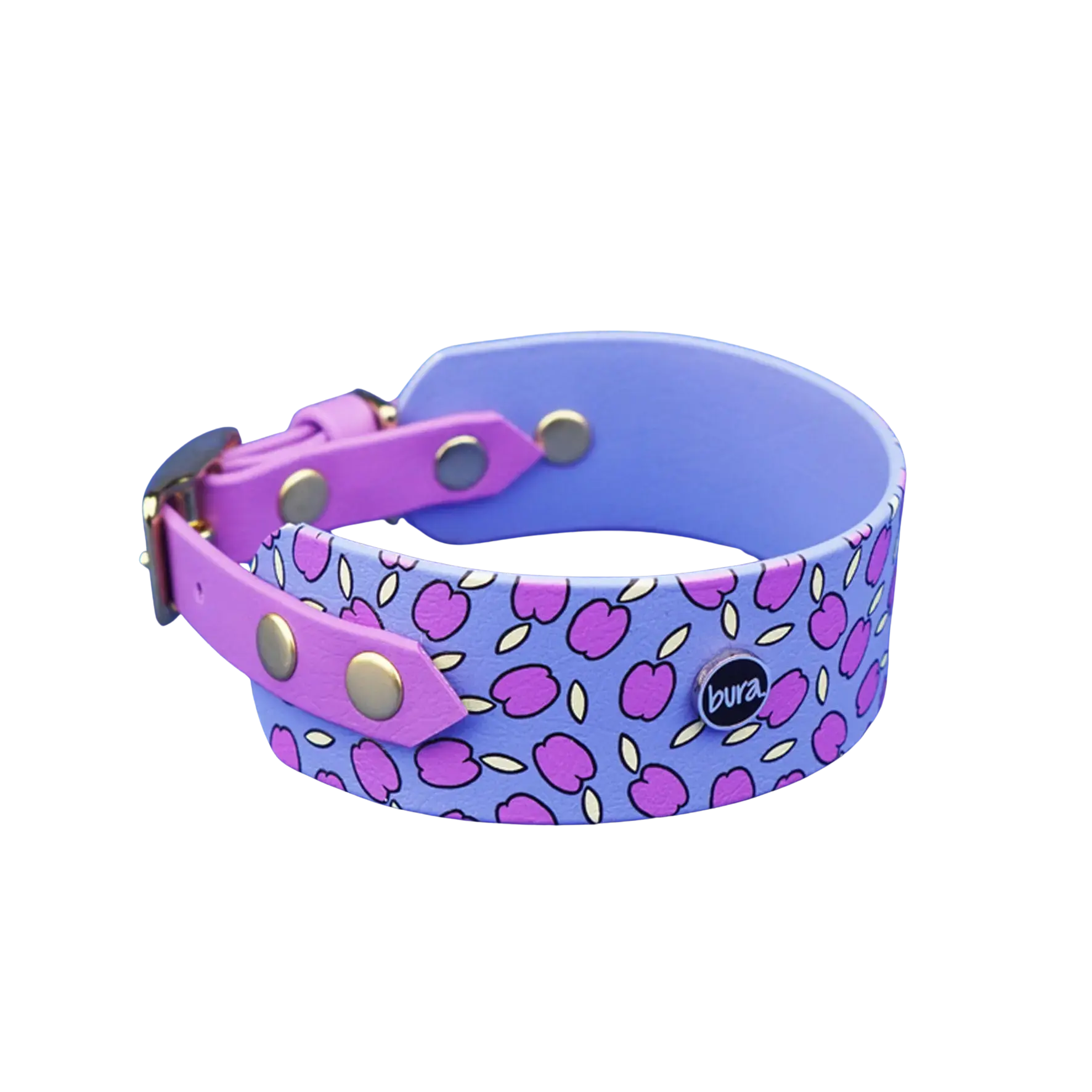 Obroża dla Charta na sprzączkę, Śliweczki / niebiesko-lawendowy BURA