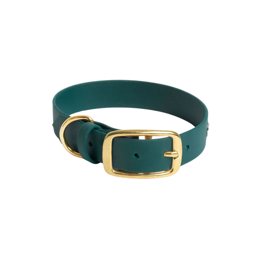 Obroża na sprzączkę dla psa, butelkowa zieleń / born to be wild... DOG BURA