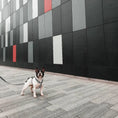 Załaduj obraz do przeglądarki galerii, Szelki GUARD BLACK&WHITE DOGIDIGI