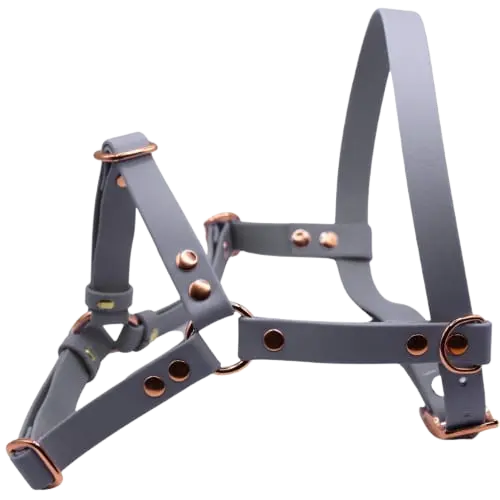 Szelki z regulacją BioThane Steel Grey Co Collar