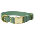 Załaduj obraz do przeglądarki galerii, Obroża na klamrę BioThane Sage Green Co Collar
