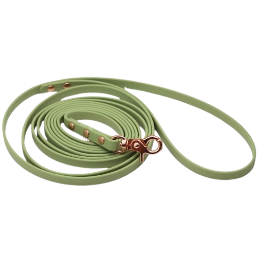 Smycz BioThane Pistachio Green Co Collar