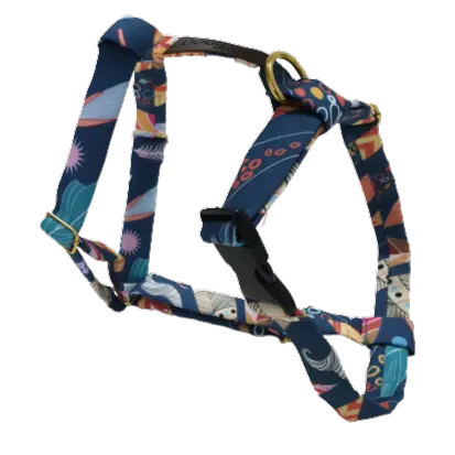 Szelki dla psa GUARD Festiwal Kolorów DOGIDIGI