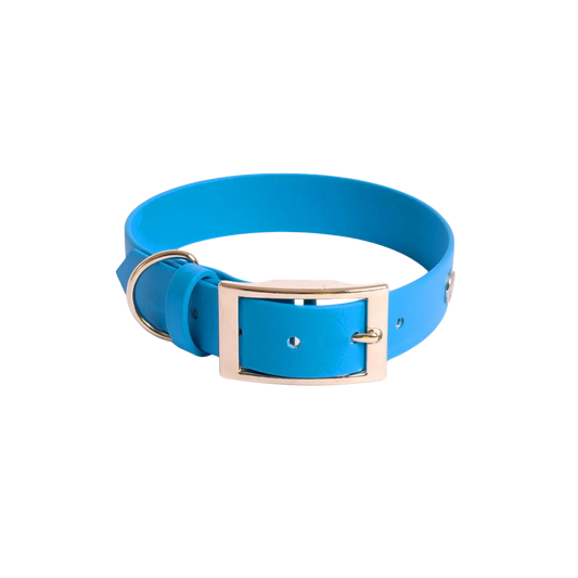 Obroża na sprzączkę dla psa, niebieski / I'm buldog... BURA