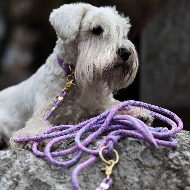 Smycz miejska linowa Unicorn Power Co collar