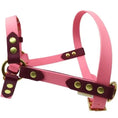 Załaduj obraz do przeglądarki galerii, Szelki z regulacją BioThane Flamingo Pink Co Collar