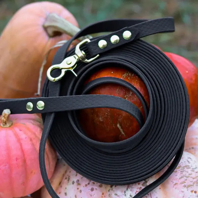 Smycz HEXA Raven Black Co Collar