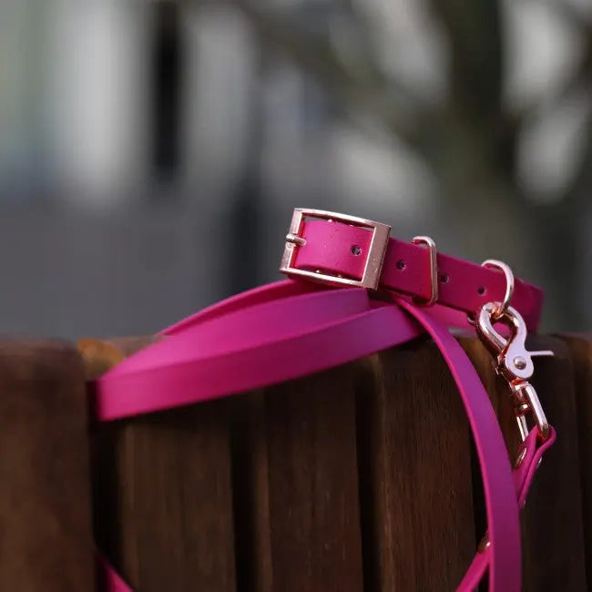 Obroża na sprzączkę BioThane Magenta Pink Co Collar