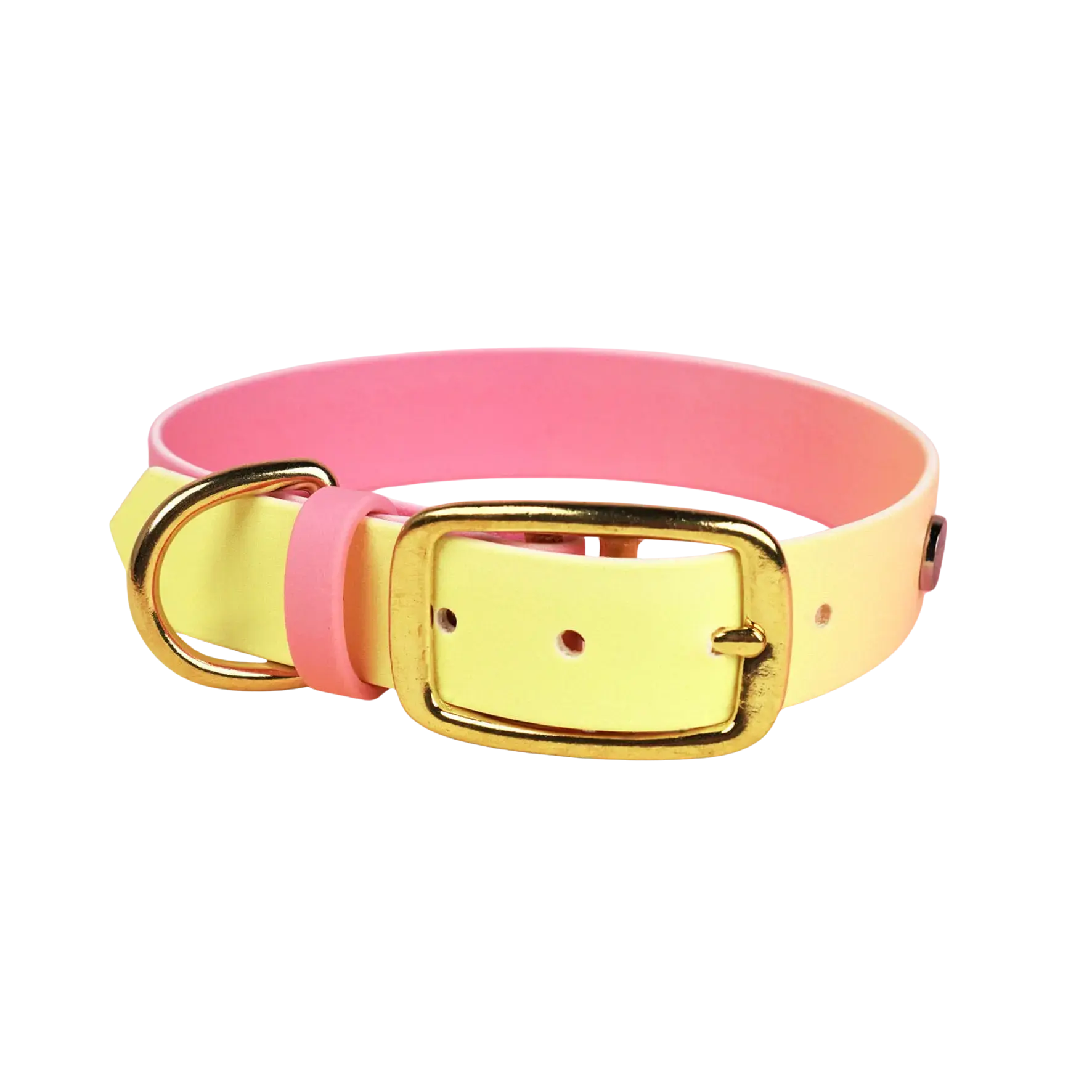 Obroża na sprzączkę dla psa, Pink Malibu BURA
