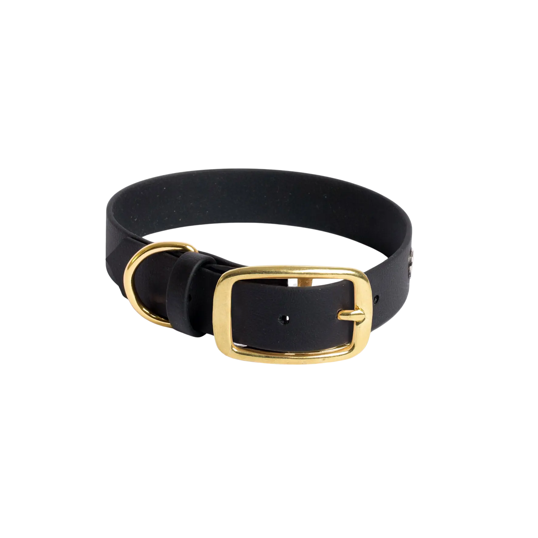 Obroża na sprzączkę dla psa, czarny / COCO Psianel, dog in BLACK BURA