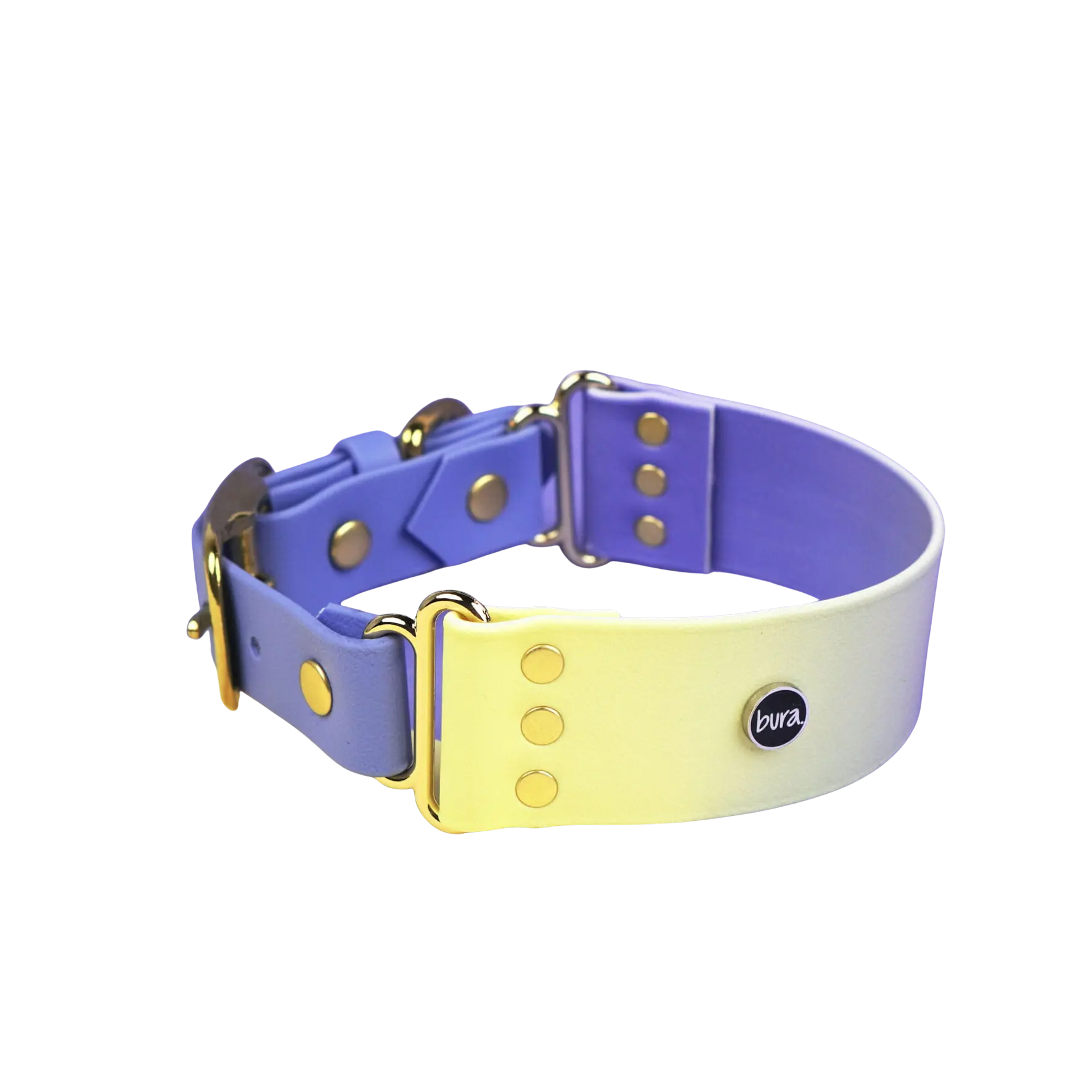 Szeroka obroża na sprzączkę, Lavender Haze BURA