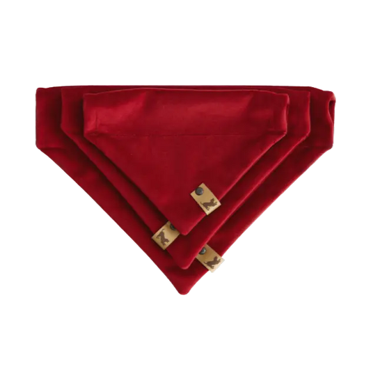 Bandana bordo Psotnik