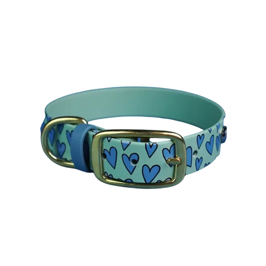 Obroża na sprzączkę dla psa, Serca / szałwiowy BURA