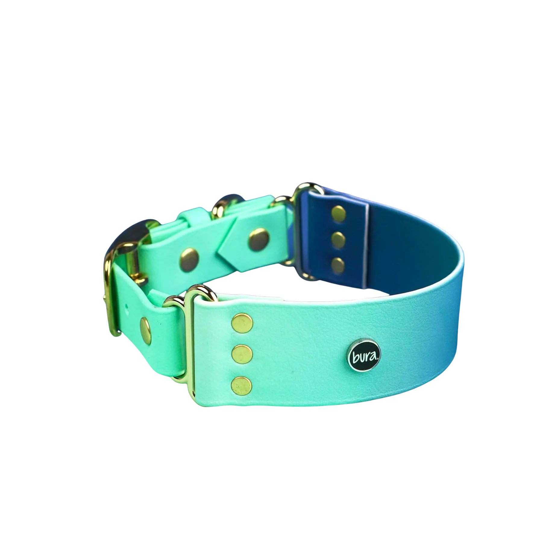 Szeroka obroża na sprzączkę turkusowo niebieska.