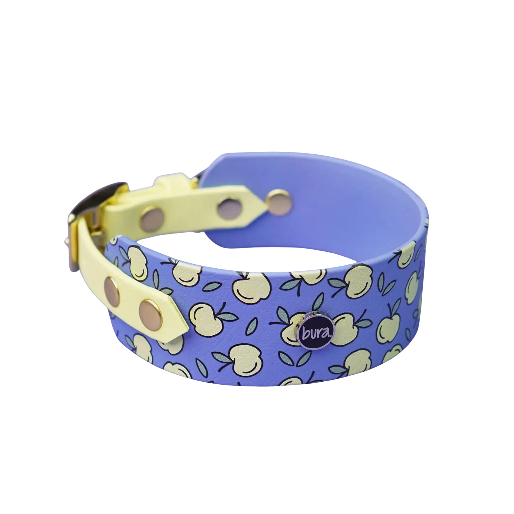 Obroża dla Charta na sprzączkę, Jabłuszka / niebiesko-lawendowy BURA