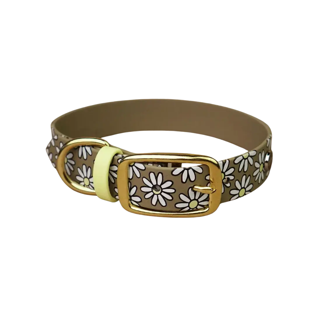 Obroża na sprzączkę dla psa, Stokrotki / khaki BURA