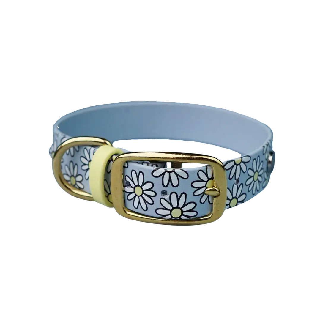 Obroża na sprzączkę dla psa, Stokrotki / pastelowy-niebieski BURA