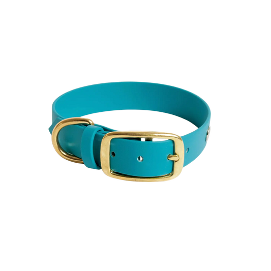 Obroża na sprzączkę dla psa, turkus / wilk MORSKI BURA