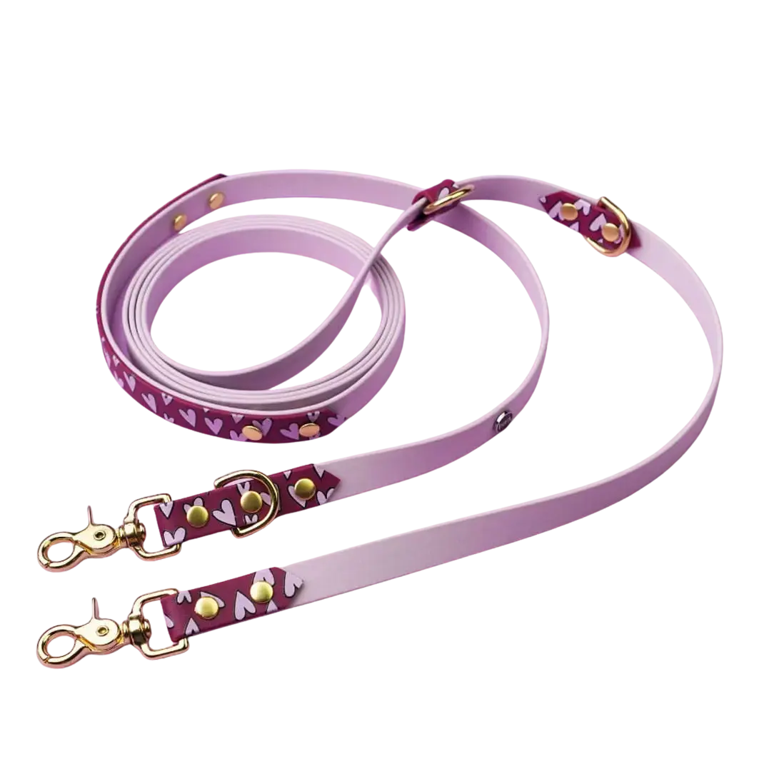 Smycz przepinana multifunkcyjna z Biothane dla psa, Serca / lilia, bordo BURA