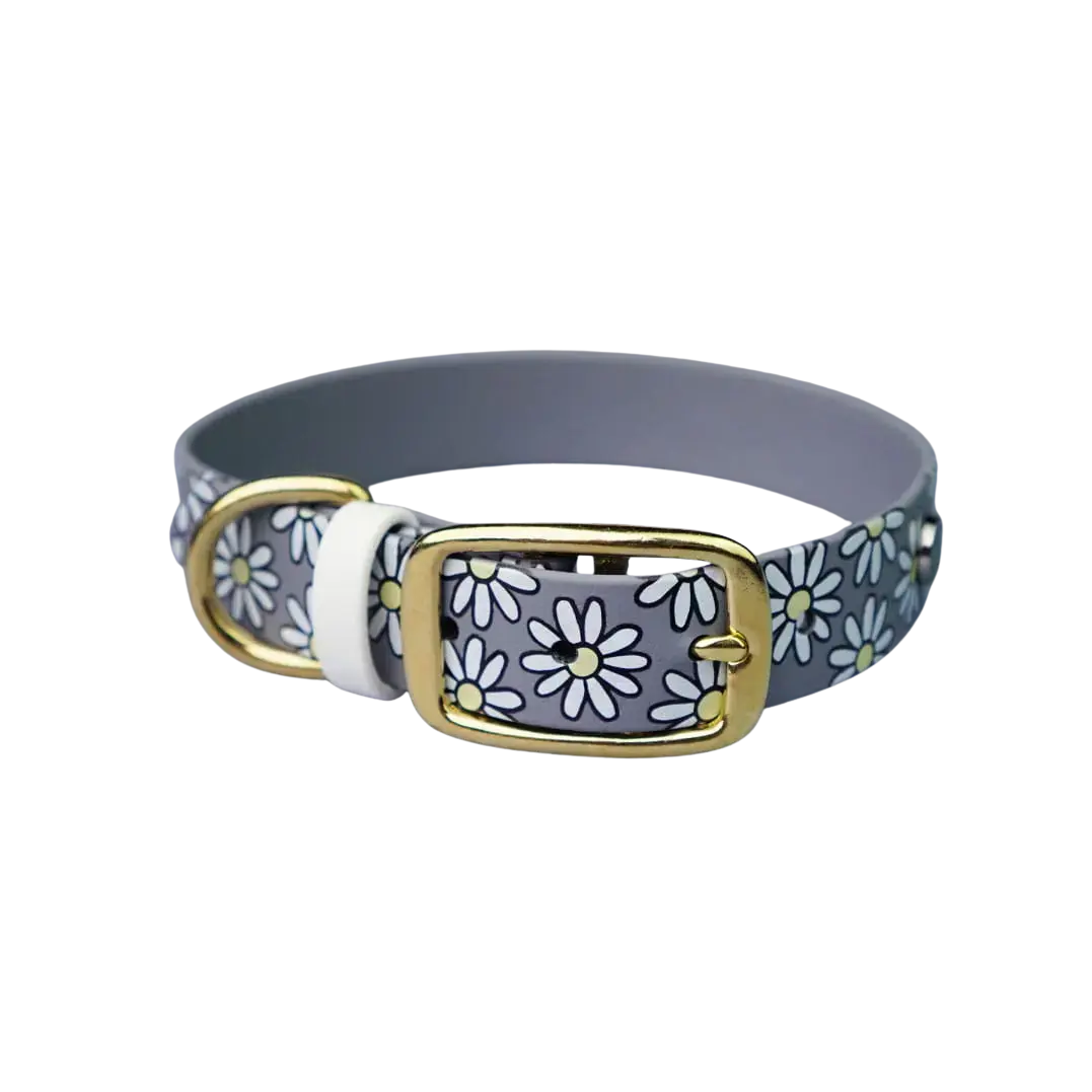 Obroża na sprzączkę dla psa, Stokrotki / szary BURA