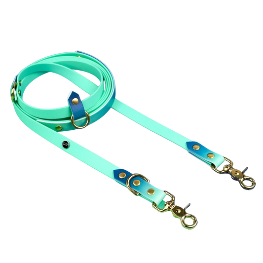 Smycz przepinana multifunkcyjna z Biothane dla psa, Blue Lagoon BURA