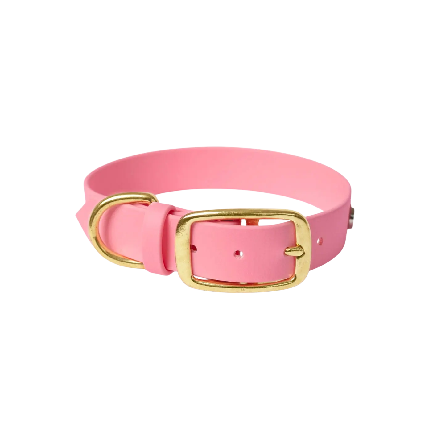 Obroża na sprzączkę dla psa, pastelowy róż / PUPPY pink BURA