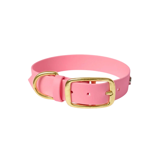 Obroża na sprzączkę dla psa, pastelowy róż / PUPPY pink BURA