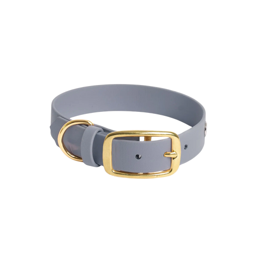 Obroża na sprzączkę dla psa, szary / szaroBURA BURA