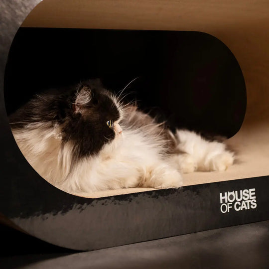 Drapak dla kota Bench Black House of Cats
