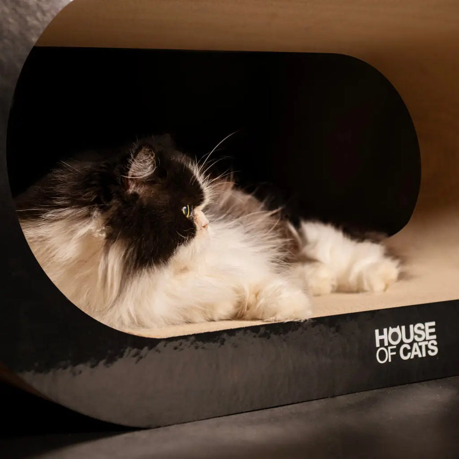 Drapak dla kota Bench Black House of Cats