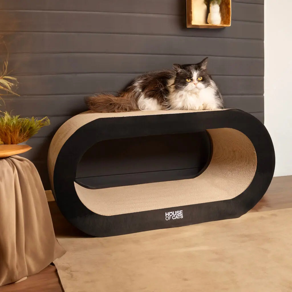 Drapak dla kota Bench Black House of Cats
