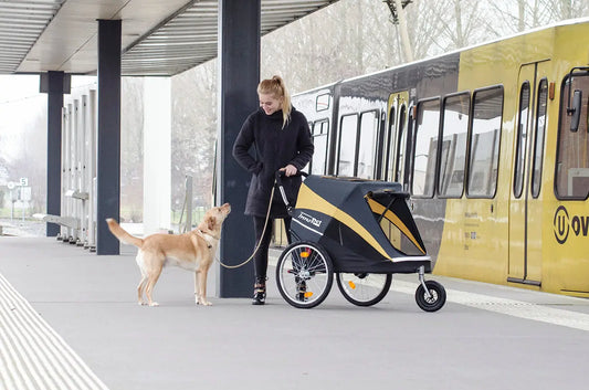 Innopet Wózek Hercules z zestawem do roweru Innopet