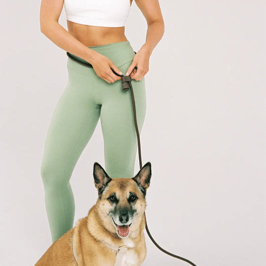 Smycz dla psa Hands-Free St. Argo zapinana na biodrach, wolne ręce do biegania.