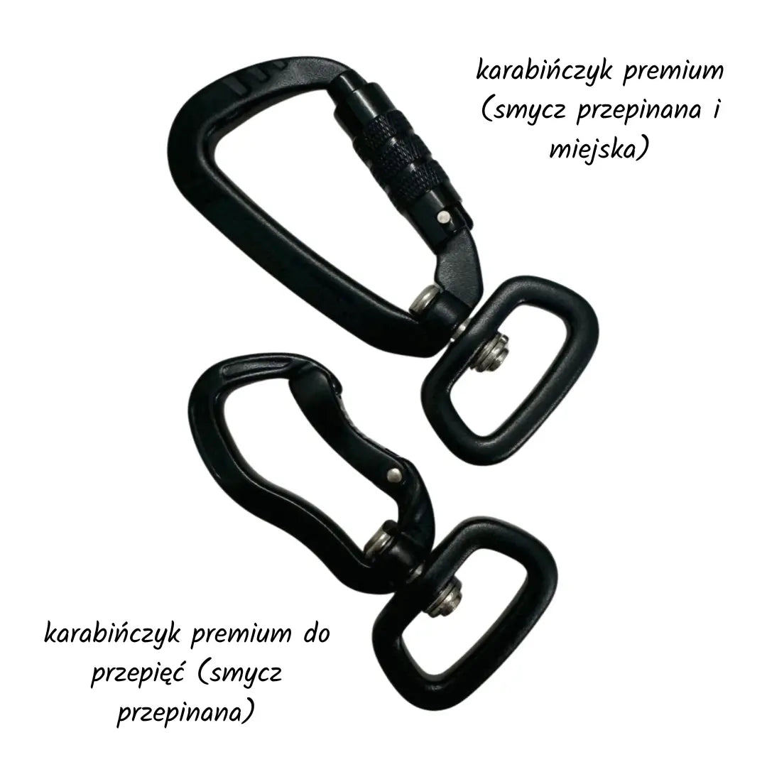 Smycz miejska Kapsidocja psistań