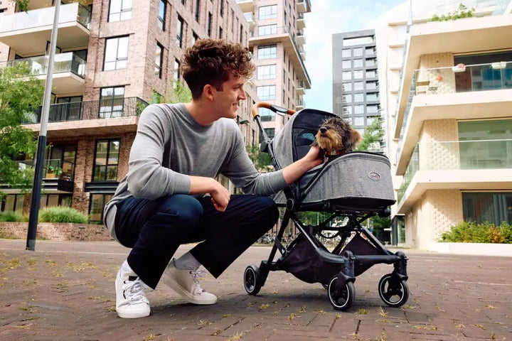 Innopet Wózek Buggy City Innopet