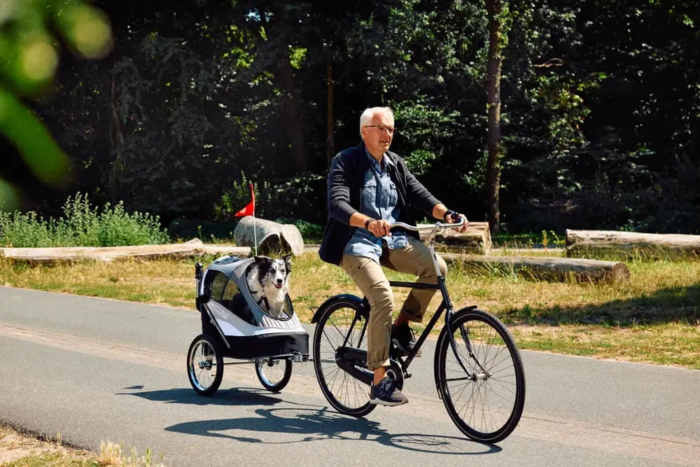 Innopet Wózek do roweru dla psa Sporty Dog Trailer Deluxe Czarny/Szary Innopet