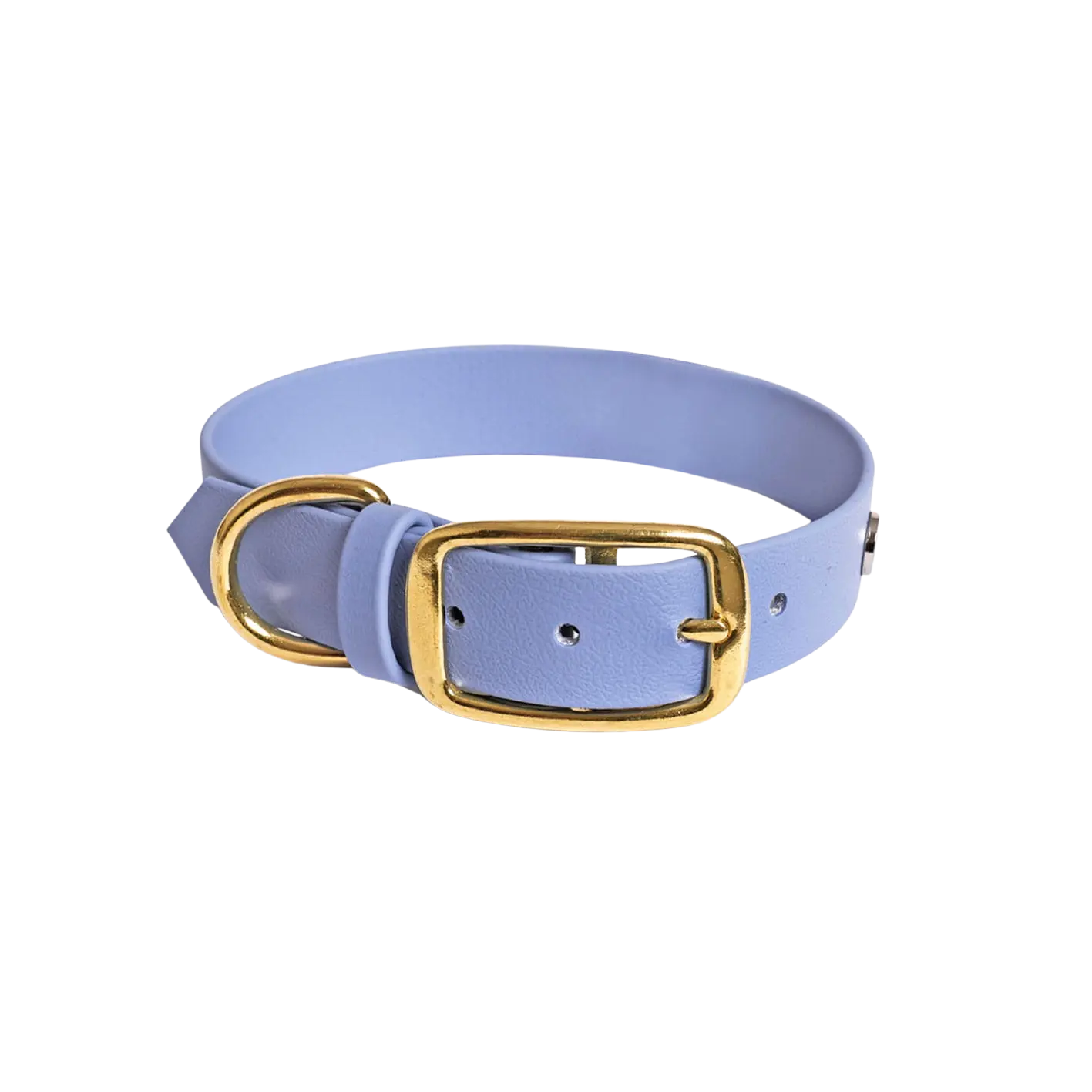 Obroża na sprzączkę dla psa, niebiesko-lawendowy / Magic Paws BURA