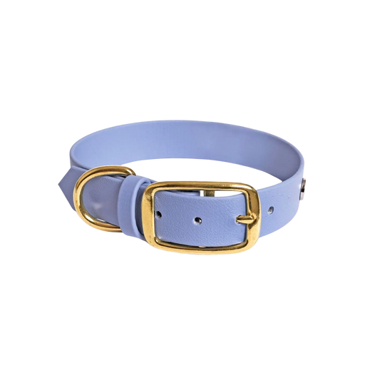 Obroża na sprzączkę dla psa, niebiesko-lawendowy / Magic Paws BURA