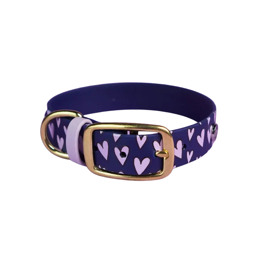 Obroża na sprzączkę dla psa, Serca / granat BURA