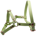 Załaduj obraz do przeglądarki galerii, Szelki z regulacją BioThane Pistachio Green Co Collar
