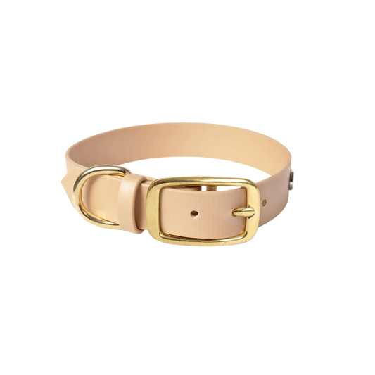 Obroża na sprzączkę dla psa, beżowy / PSInut butter, Psiutti frutti BURA