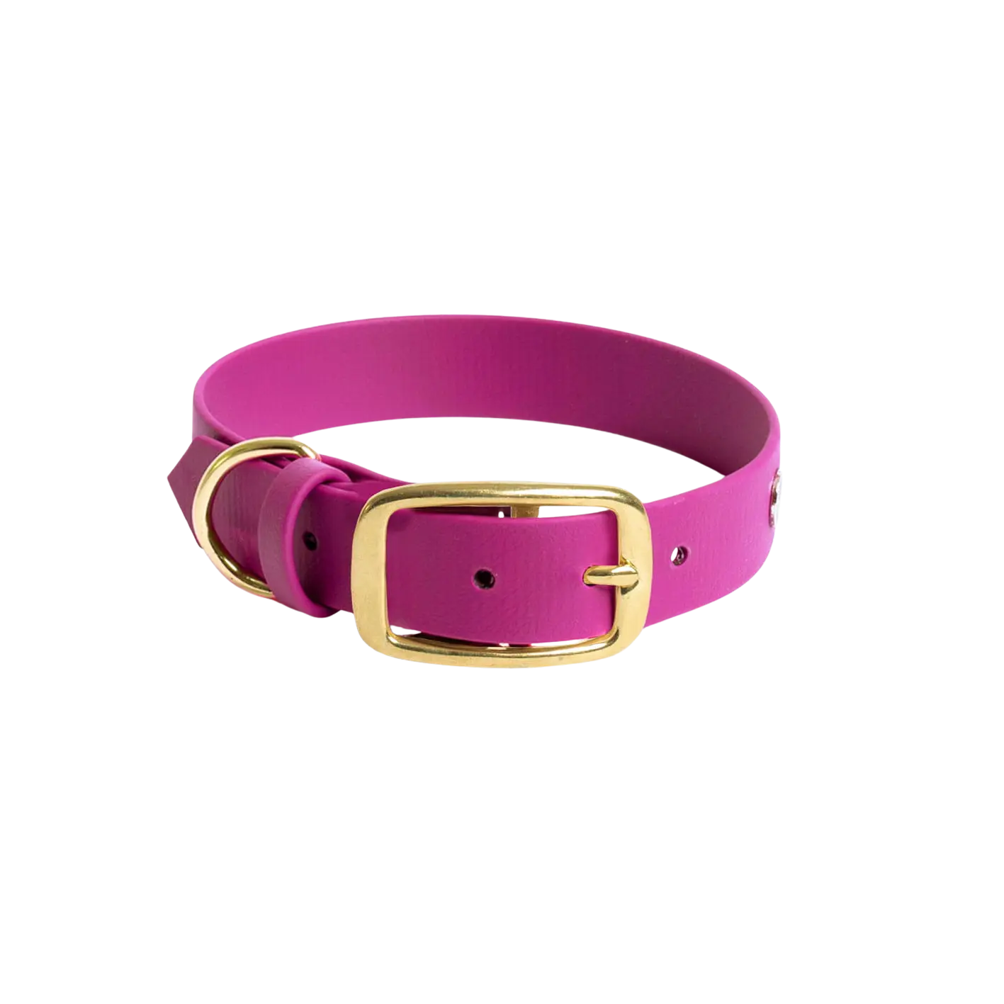 Obroża na sprzączkę dla psa, magenta / Pup Fiction BURA