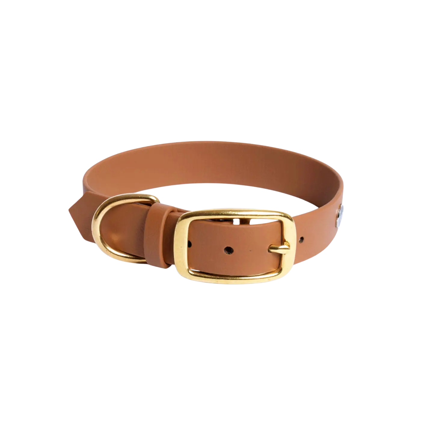 Obroża na sprzączkę dla psa, jasny brąz / dog on the ROCK BURA