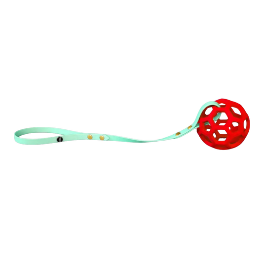 Piłka ażurowa do szarpania XS - 5 cm, HOL-EE ROLLER / różne kolory BURA