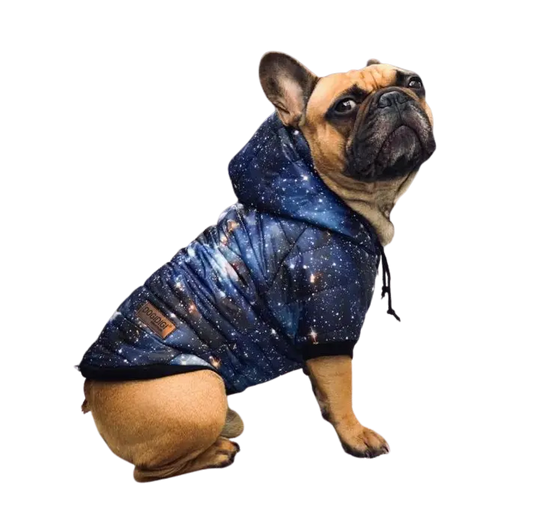 Kurtka dla psa GALAXY DOGIDIGI