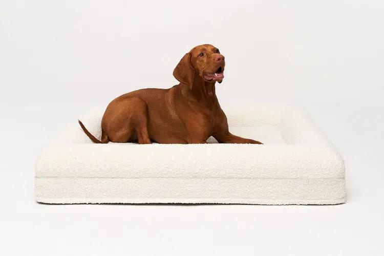 Legowisko ortopedyczne premium boucle LARGE ELIO