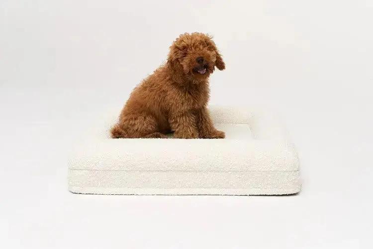 Kremowe legowisko ortopedyczne premium boucle SMALL PAW DESIGN