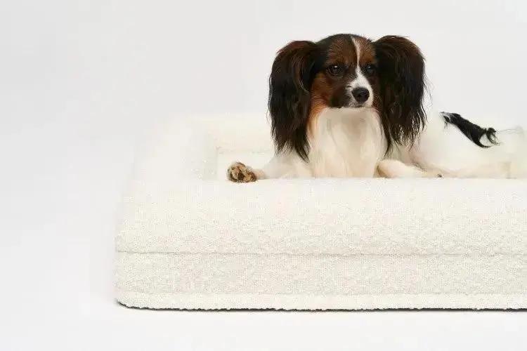 Legowisko ortopedyczne premium boucle SMALL PAW DESIGN