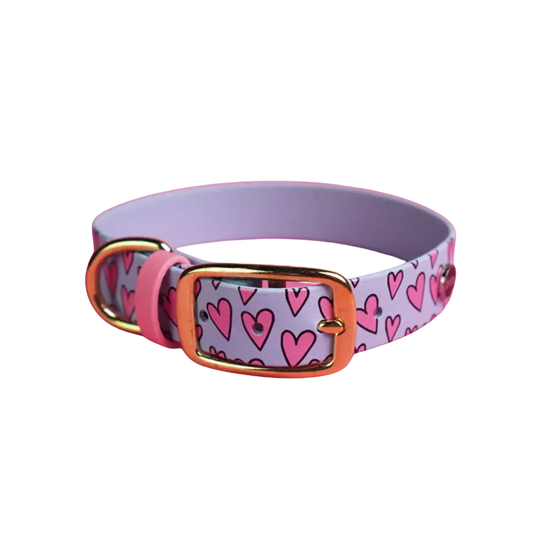 Obroża na sprzączkę dla psa, Serca / pastelowy niebieski BURA