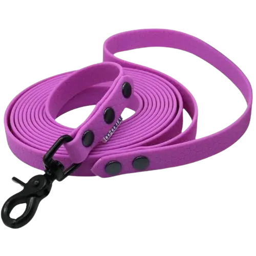 Smycz HEXA Amethyst Violet Co Collar